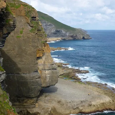 호텔 Playa La Arena Isla Plana