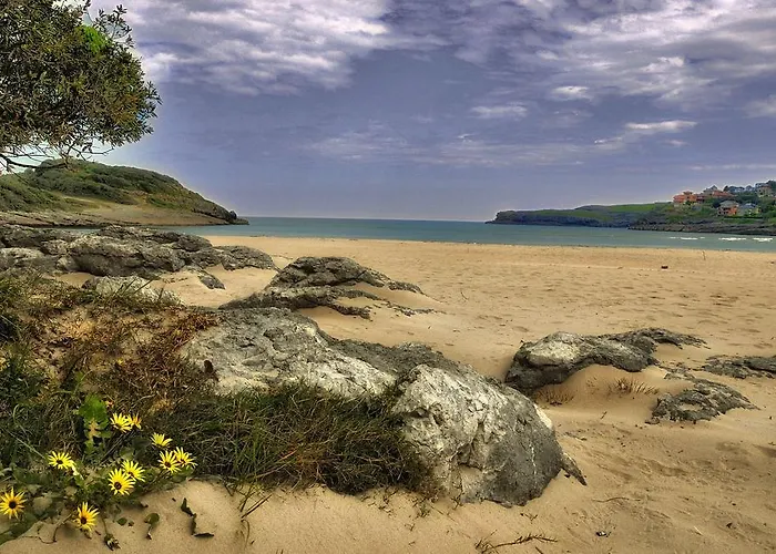 Playa La Arena 호텔 Isla Plana